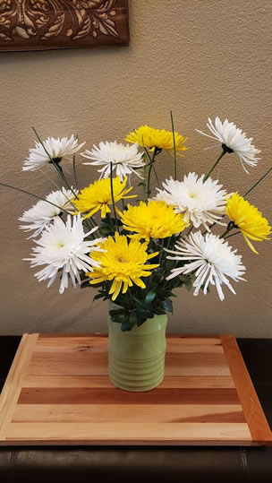 Chrysanthemum Olive Greens